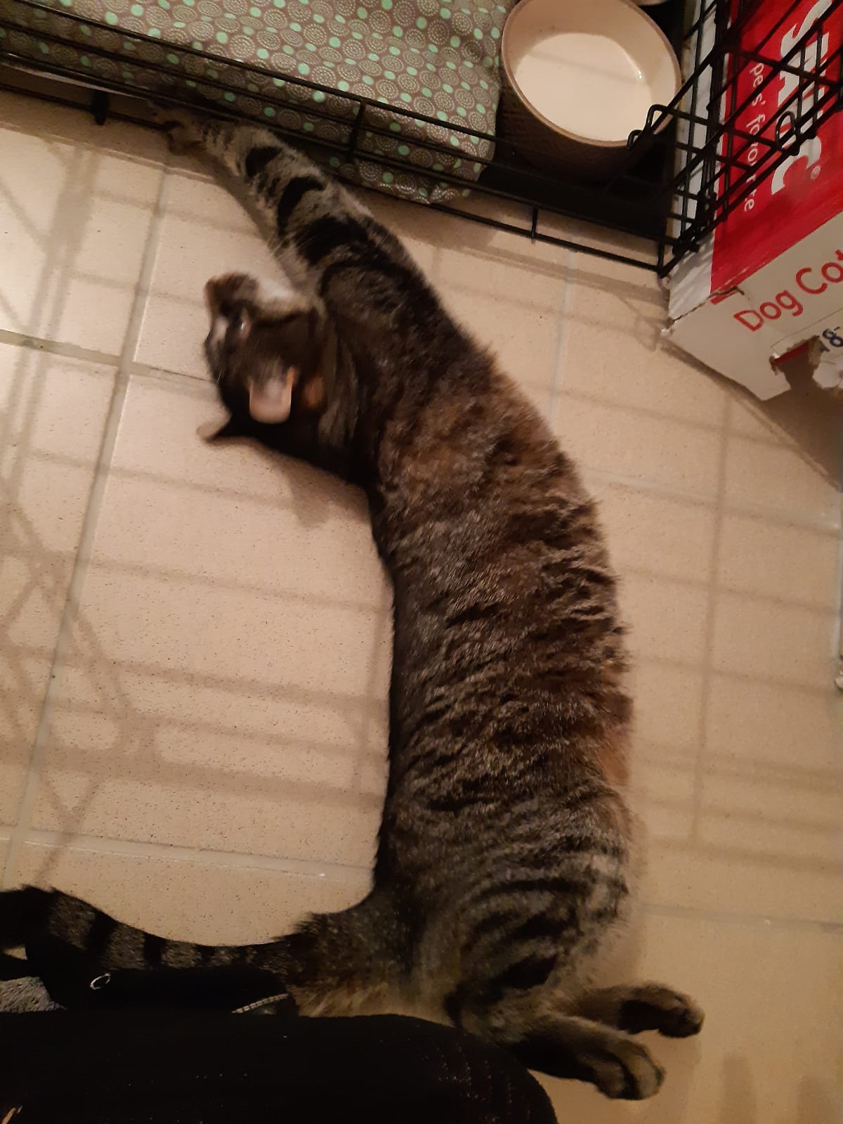 Photo n° 1 de l'avis de Michel.a fait le 17/11/2019 à 08:50