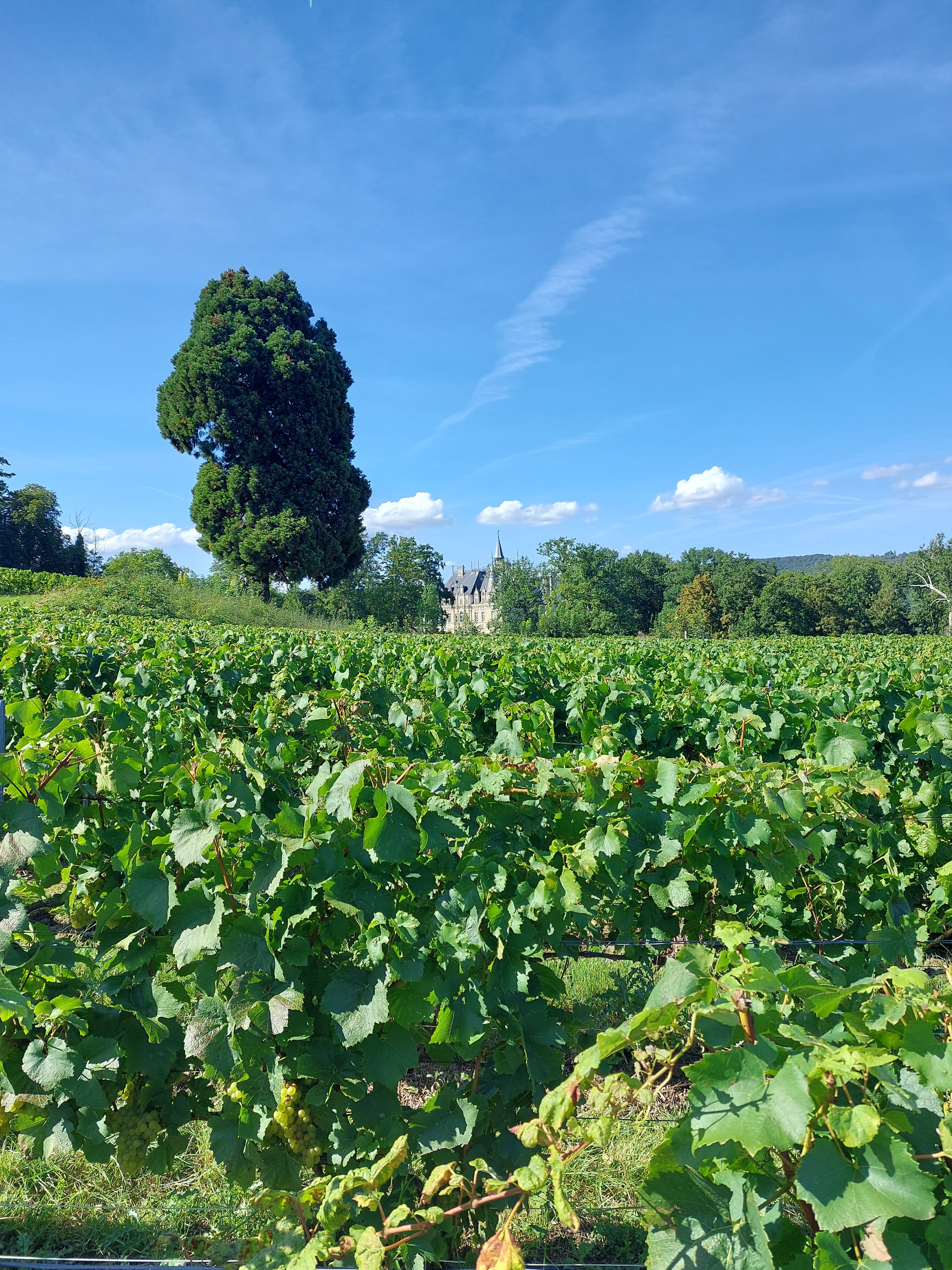 Photo n° 3 de l'avis de Renaud.a fait le 05/09/2023 à 10:27