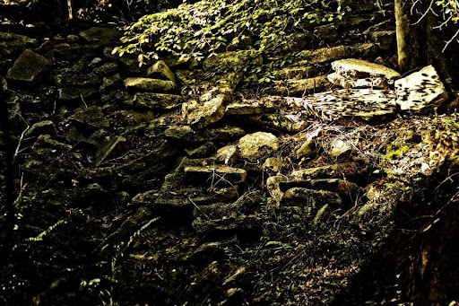 Nature Preserve «Melvin L. Newman Wetlands Center», reviews and photos, 2755 Freeman Rd, Hampton, GA 30228, USA