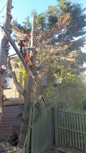 Reviews of Cathcart Tree Surgeons in Glasgow - Landscaper
