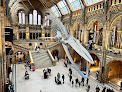 Natural History Museum