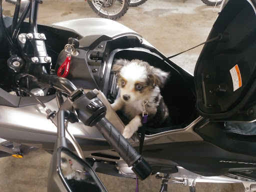 Honda Dealer «BBK Motorsport», reviews and photos, 227 Dupage St, Elgin, IL 60120, USA