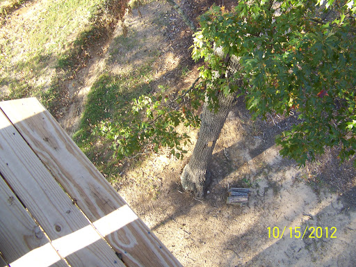 Amusement Park «Kentucky Shores Family Fun Center and Zip Lines», reviews and photos, 6215 US-641, Gilbertsville, KY 42044, USA