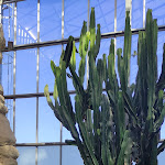 Photo n° 24 de l'avis de S.L fait le 10/08/2022 à 21:25 pour Parc Terra Botanica à Angers