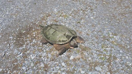 Resort «Six Flags Great Escape Lodge & Indoor Water park», reviews and photos, 89 Six Flags Drive, Queensbury, NY 12804, USA