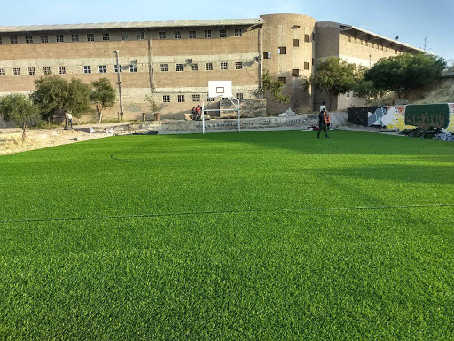 Synthetic grass Sporturf ™ (Tijuana, BC)