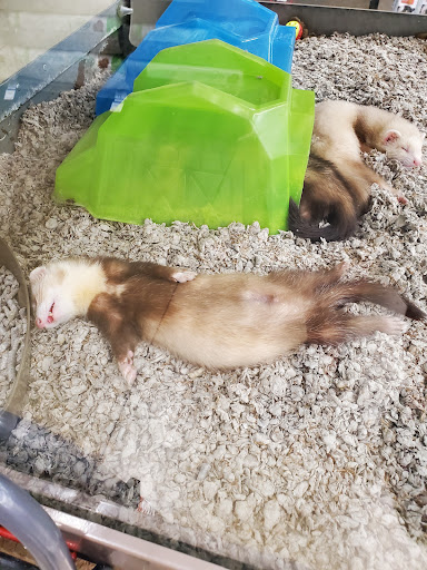 Pet Supply Store «Petco Animal Supplies», reviews and photos, 2210 N Eagle Rd, Meridian, ID 83646, USA