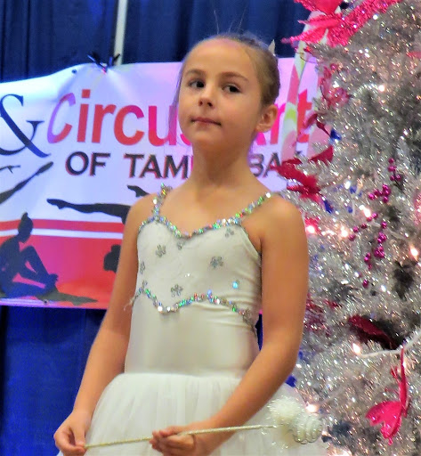 Dance School «Dance and Circus Arts of Tampa Bay», reviews and photos, 1490 N Belcher Rd, Clearwater, FL 33765, USA