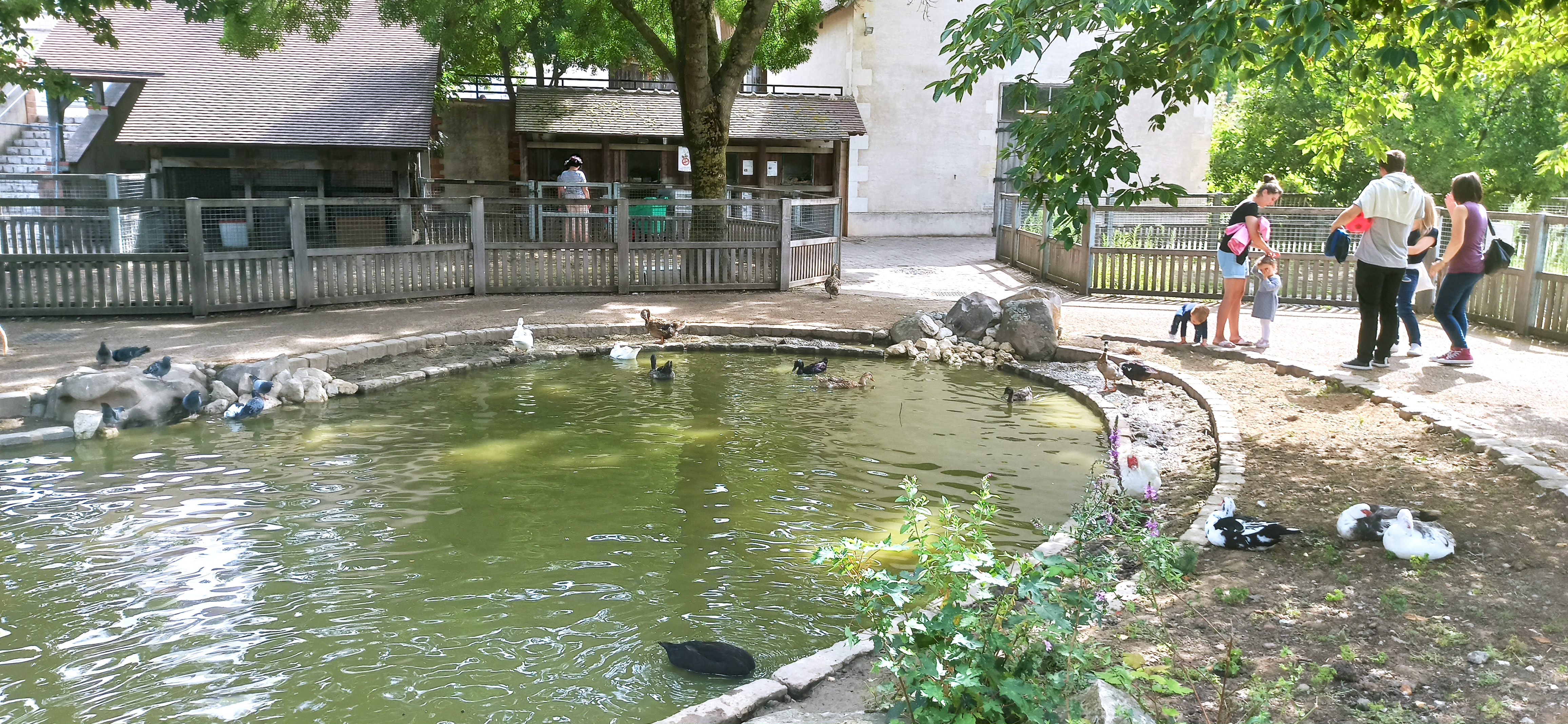 Photo n° 2 de l'avis de julien.t fait le 26/07/2020 à 10:46