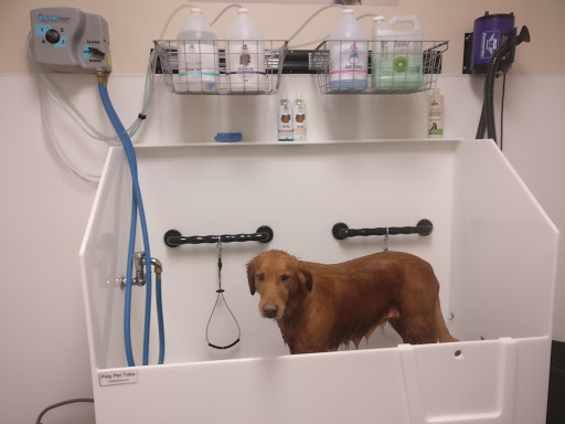 Pet Supply Store «EarthWise Pet Panama City», reviews and photos, 632 W 23rd St, Panama City, FL 32405, USA