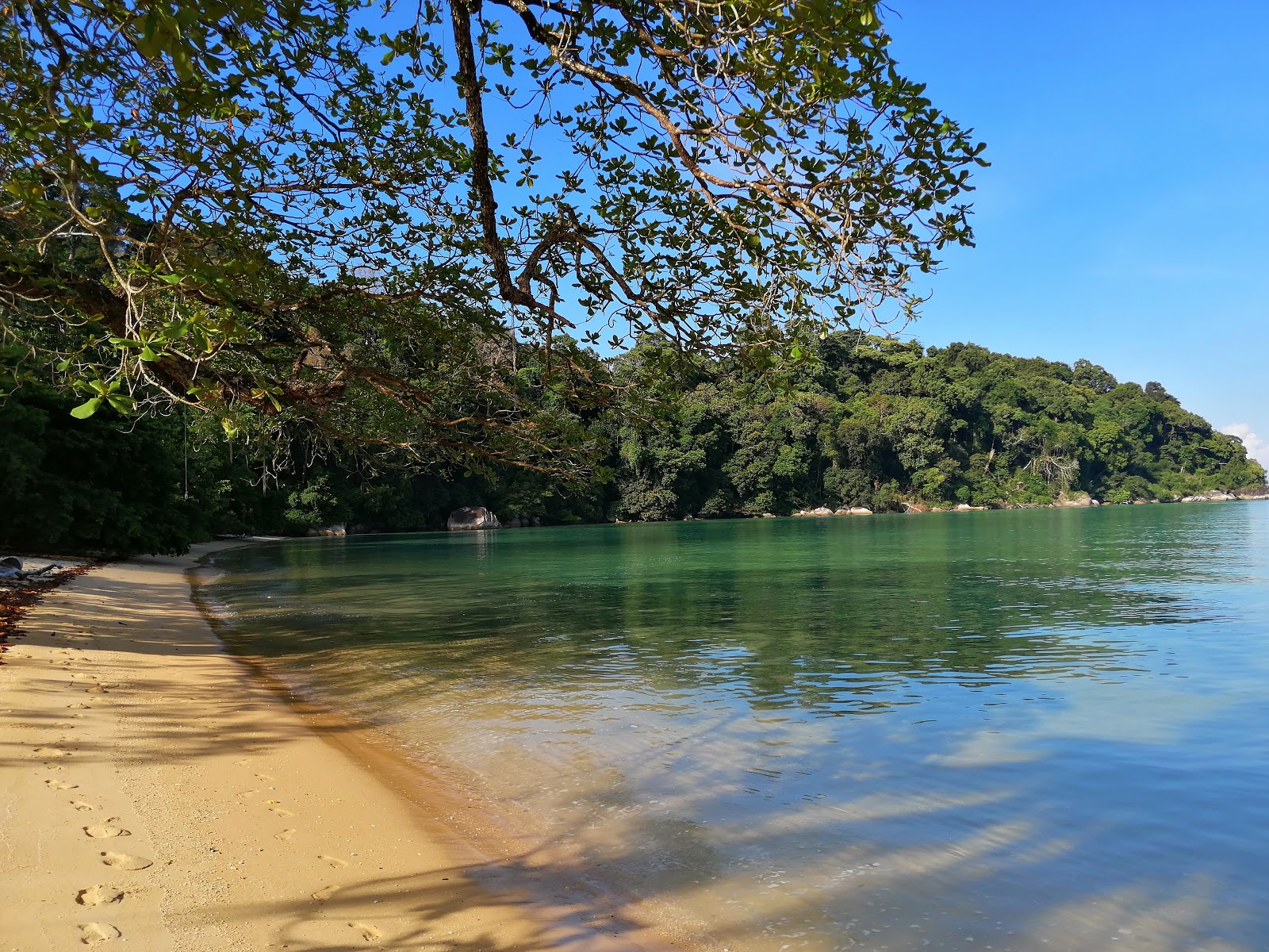 Fotografie cu Monkey Bay cu o suprafață de apa pură turcoaz