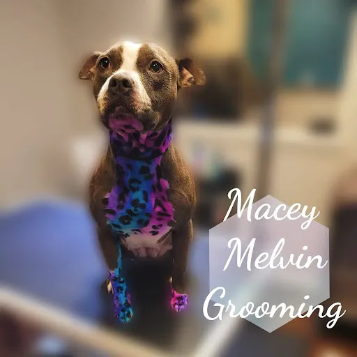 Pet Supply Store «Dog Style Canine Supply Company», reviews and photos, 2002 Judson Rd Suite 102, Longview, TX 75605, USA