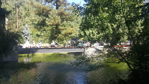 Amusement Park «Pacific NW Live Steamers», reviews and photos, 31803 S Shady Dell Rd, Molalla, OR 97038, USA