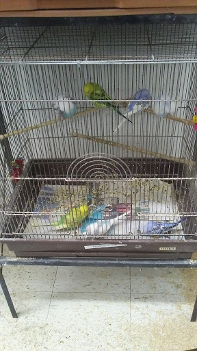 Tropical Fish Store «Midway Tropical Fish & Pets», reviews and photos, 24101 Pacific Hwy S, Kent, WA 98032, USA