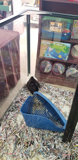 Pet Store «Pets Plus», reviews and photos, 454 TN-46, Dickson, TN 37055, USA