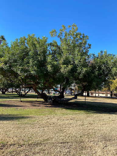Park «Daley Park», reviews and photos, 1625 S College Ave, Tempe, AZ 85281, USA