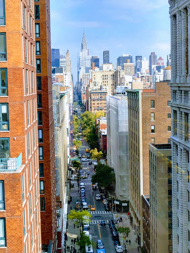 New York University - University Hall