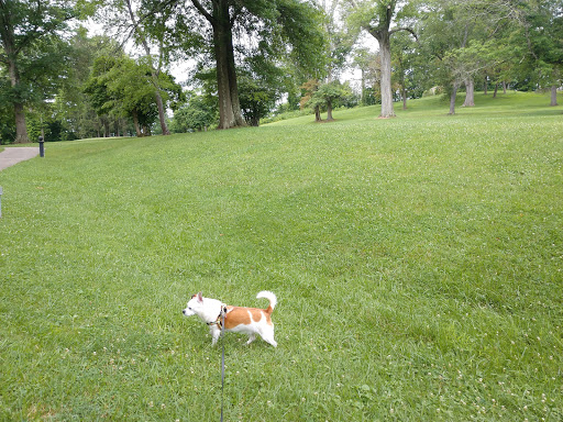 National Park «Friendship Hill National Historic Site», reviews and photos, 223 New Geneva Road, Point Marion, PA 15474, USA