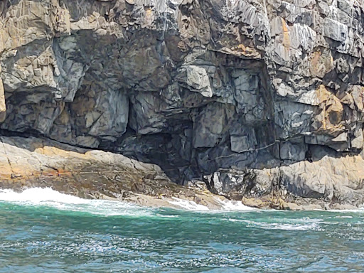 Tourist Attraction «Acadian Boat Tours», reviews and photos, 119 Eden St, Bar Harbor, ME 04609, USA