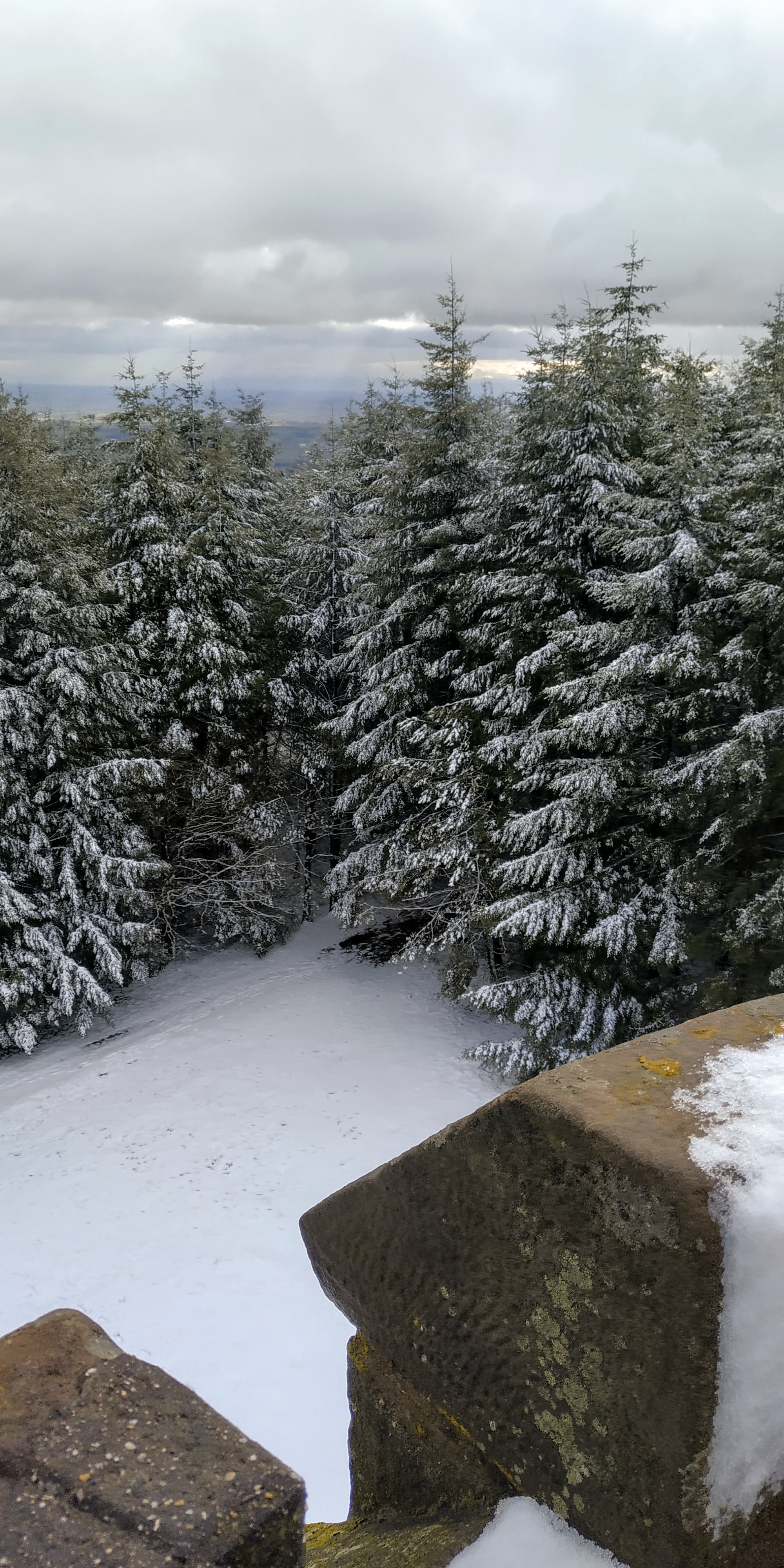 Photo n° 1 de l'avis de voilier.a fait le 26/03/2021 à 18:13