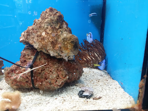 Pet Supply Store «Petco Animal Supplies», reviews and photos, 45205 Worth Ave, California, MD 20619, USA