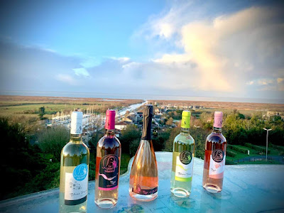 Vignoble le Grand Marand à Saint-Bonnet-sur-Gironde