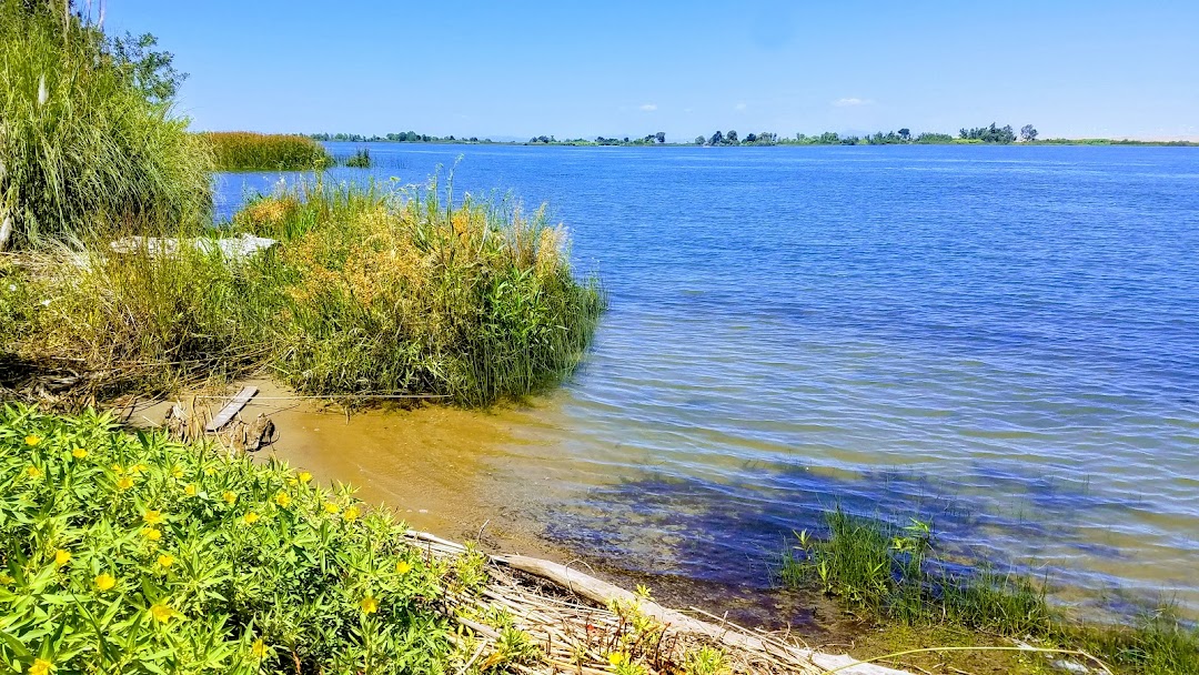 Antioch Dunes National Wildlife Refuge