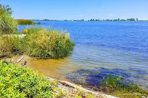 Antioch Dunes National Wildlife Refuge image