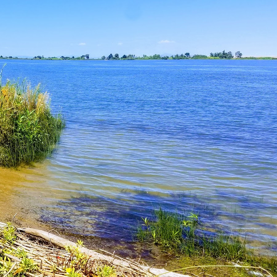 Antioch Dunes National Wildlife Refuge