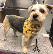 Bubbles and Biscuits LLC - Photo 3 - Car repair in Lititz, PA, Lancaster