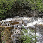 Photo n° 4 de l'avis de M... fait le 17/05/2021 à 08:07 pour Cascade du Saut de Gouloux à Gouloux