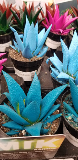 Home Improvement Store «The Home Depot», reviews and photos, 6501 W Broad St, Richmond, VA 23230, USA