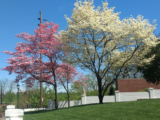 Park «George Rogers Clark Park», reviews and photos, 219 Riverside Dr, Covington, KY 41011, USA