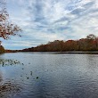 Pocomoke River State Park: Milburn Landing
