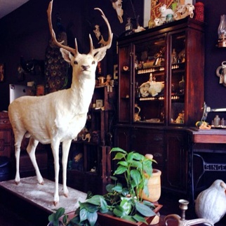 Tattoo Shop «Triple Diamond Tattoo», reviews and photos, 257 3rd Ave, Brooklyn, NY 11215, USA