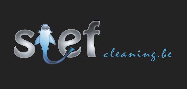Stefcleaning - Waver