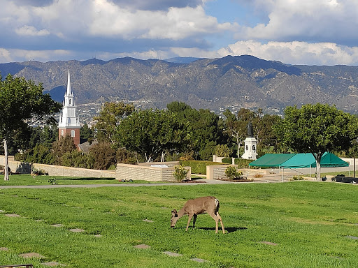 Memorial Park «Forest Lawn - Hollywood Hills», reviews and photos, 6300 Forest Lawn Dr, Los Angeles, CA 90068, USA