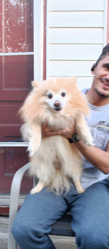 Pet Supply Store «PetSmart», reviews and photos, 2480 Fairview Ave N, Roseville, MN 55113, USA