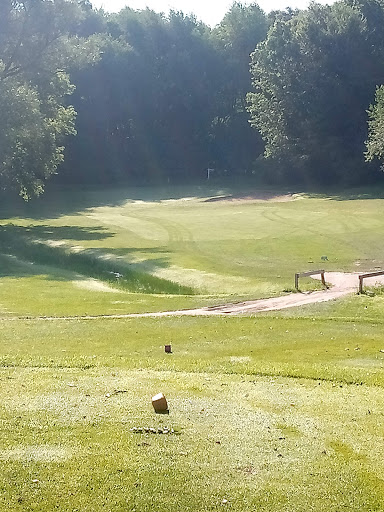 Golf Course «Pine Hills Golf Course», reviews and photos, 6603 Woodbury Rd, Laingsburg, MI 48848, USA