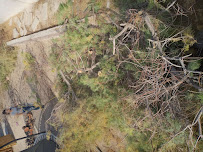 Sya landscaping - Photo 6 - Car repair in , Las Vegas