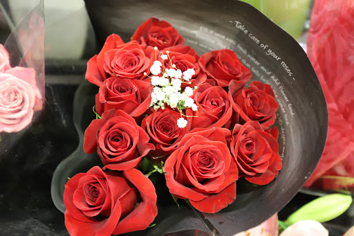 Grocery Store «Food Lion», reviews and photos, 70 Morgan Square #1, Berkeley Springs, WV 25411, USA