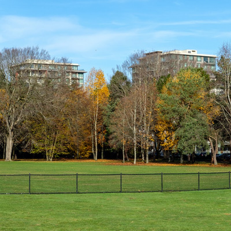 Minoru Park