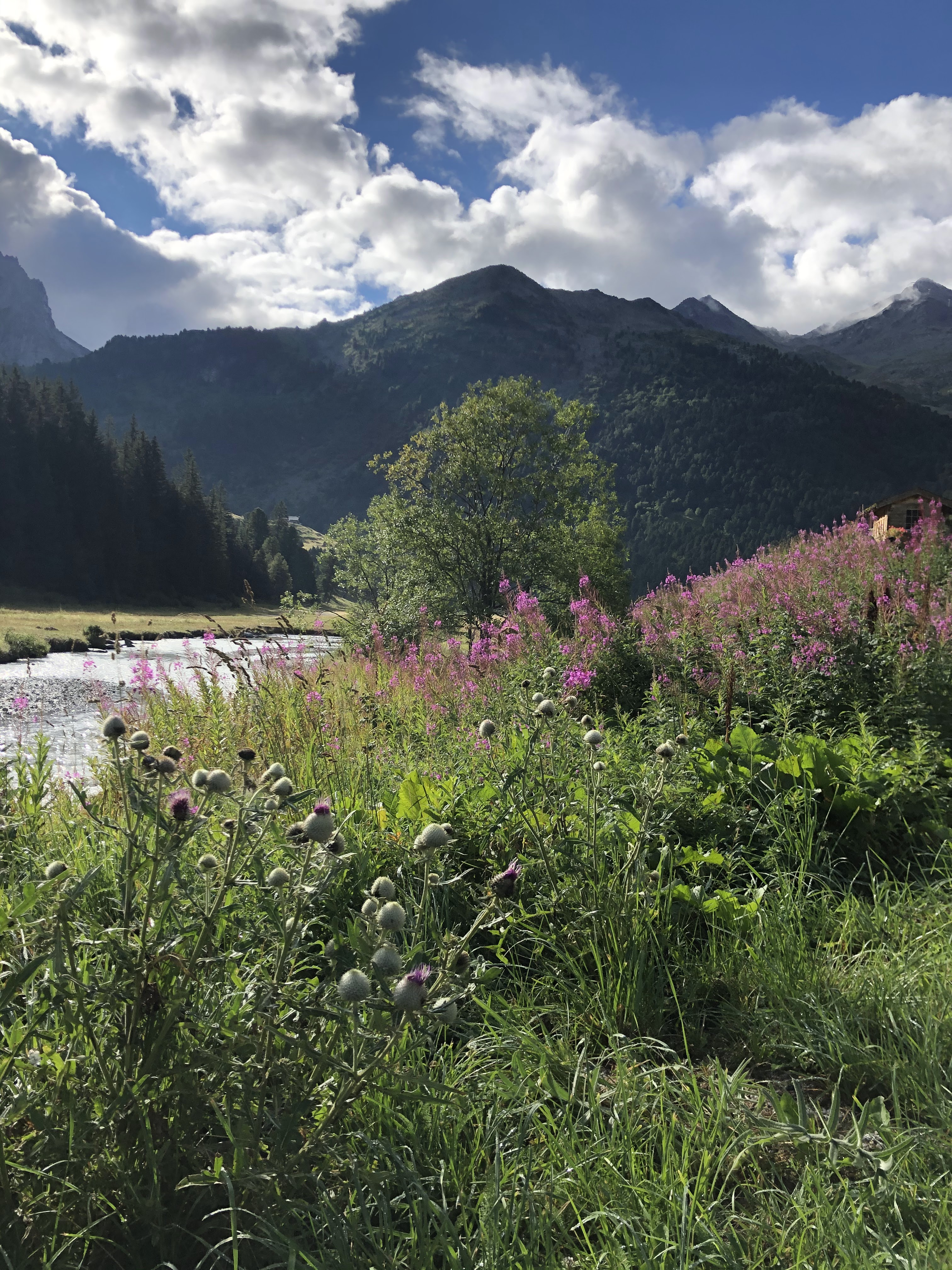 Photo n° 14 de l'avis de Julien. fait le 09/04/2019 à 16:56