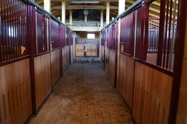 Értékelések erről a helyről: Bolyok-Box Kft.- lovas box, ló tenyésztés, istálló box, tolóajtós lovasboxox, Ózd - Sport bolt