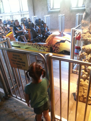 Roller Coaster «Cheetah Hunt», reviews and photos, 10165 N Malcolm McKinley Dr, Tampa, FL 33612, USA