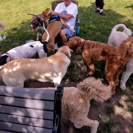 Dog Park «Carol Stream Bark Park», reviews and photos, 280 Kuhn Rd, Carol Stream, IL 60188, USA