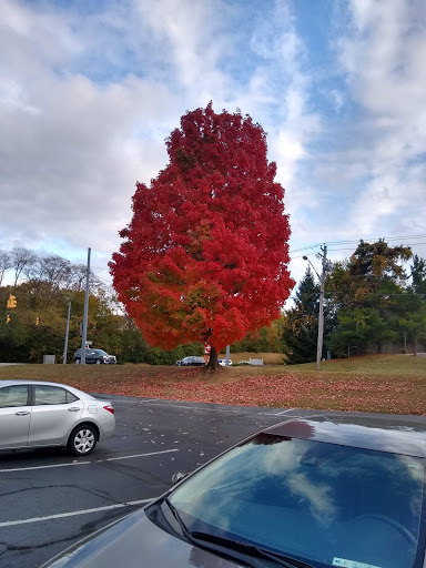 Bowling Alley «Crossgate Lanes», reviews and photos, 4230 Hunt Rd, Blue Ash, OH 45242, USA