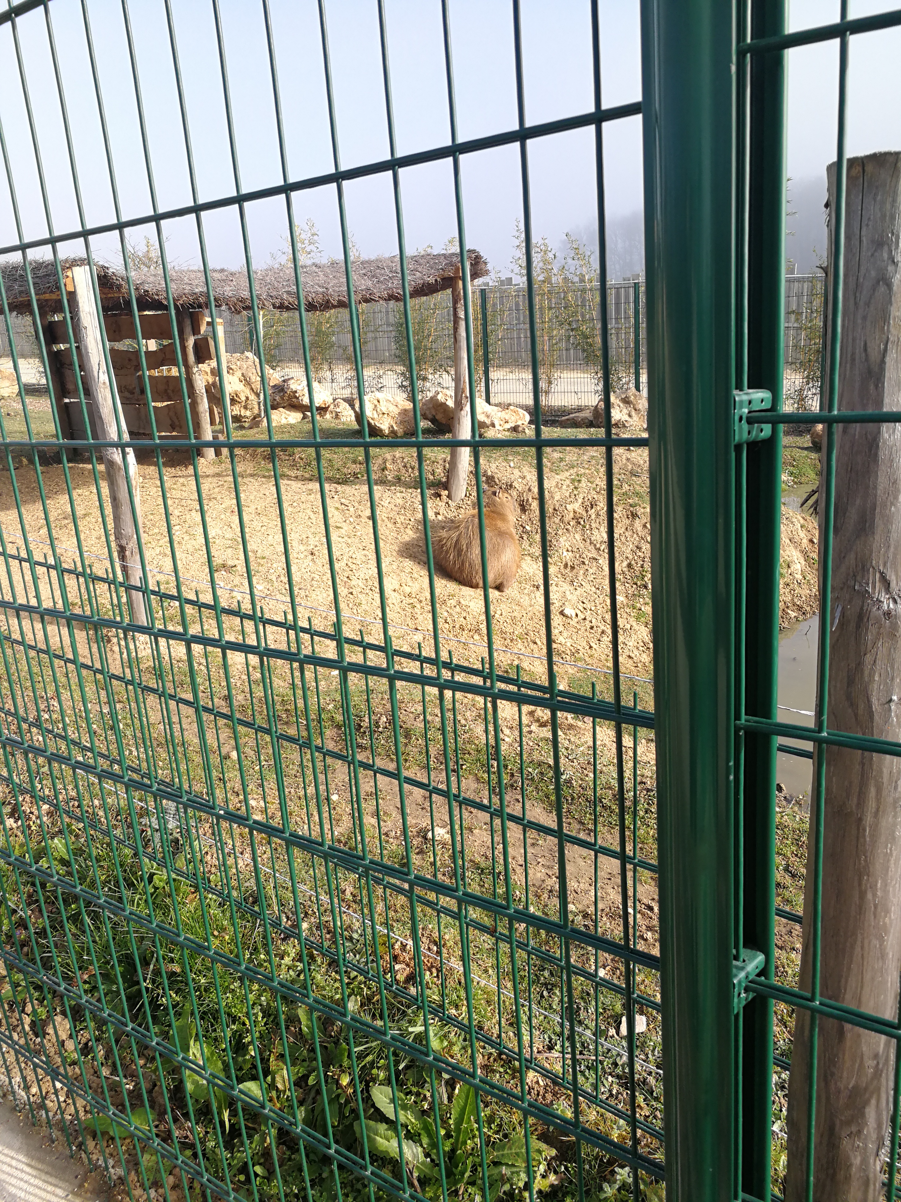 Photo n° 12 de l'avis de Marie.F fait le 20/02/2023 à 16:18