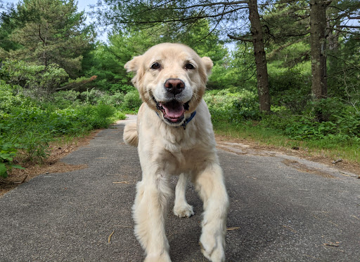 State Park «Myles Standish State Forest», reviews and photos, 194 Cranberry Rd, Carver, MA 02330, USA