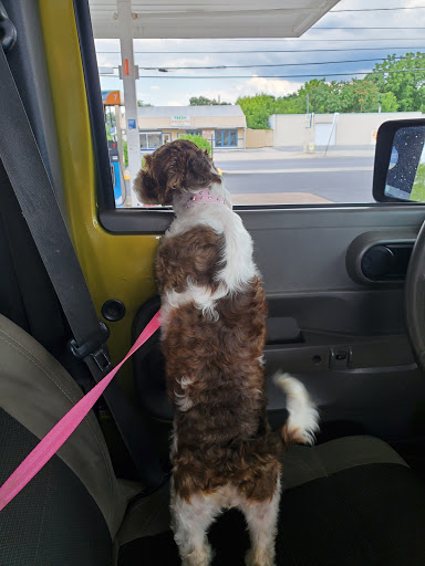 Donut Shop «Fresh Donuts», reviews and photos, 1202 Cumberland St, Lebanon, PA 17042, USA